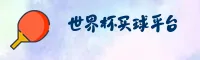 使用指南与常见问题